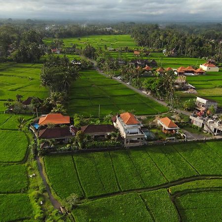 Villa Popolan And Guest House 乌布 外观 照片