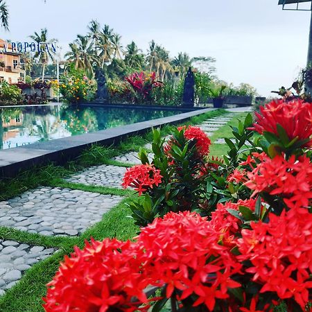 Villa Popolan And Guest House 乌布 外观 照片