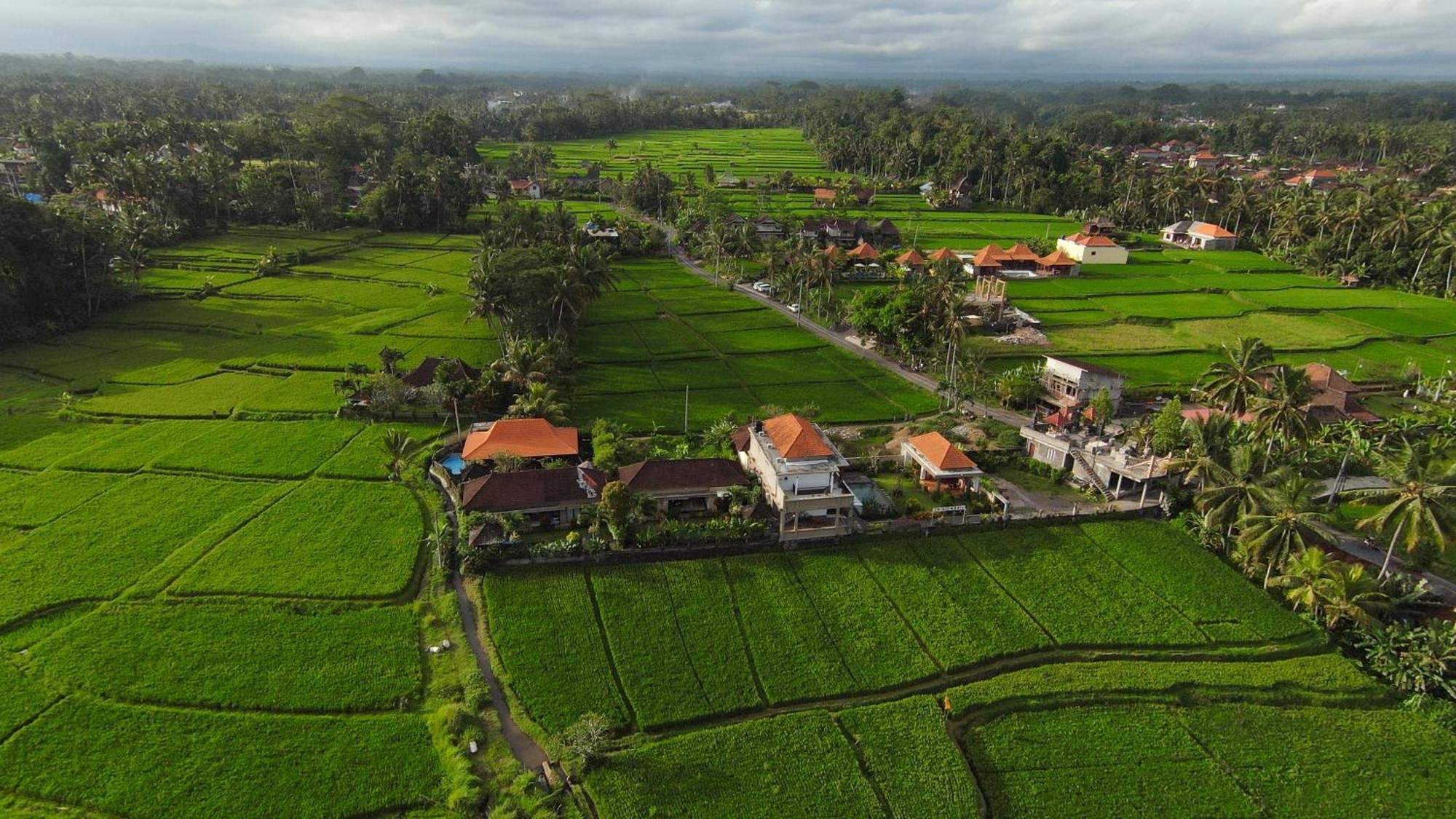 Villa Popolan And Guest House 乌布 外观 照片